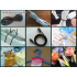 Automatic Plastic Bread Bag Clips Chocolate Bar Packing Machine X-WM02C PRO