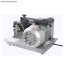 Magnet Enameled Wire Motor Transformer Stripper Machine S005F