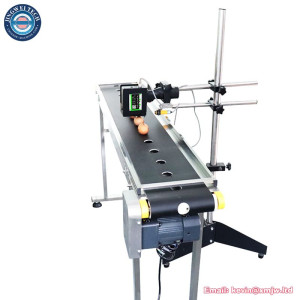 Production Line Bottle Egg Online Print Inkjet Printer with Conveyor Belt