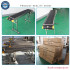 Production Line Bottle Egg Online Print Inkjet Printer with Conveyor Belt