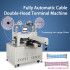 Fully Automatic Double-Head Cable Stripping Crimping Machine