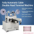 Fully Automatic Double-Head Cable Stripping Crimping Machine